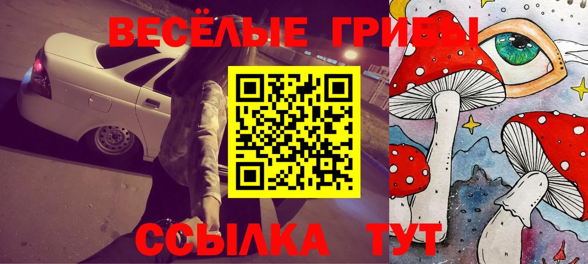 Галлюциногенные грибы мицелий Волгодонск