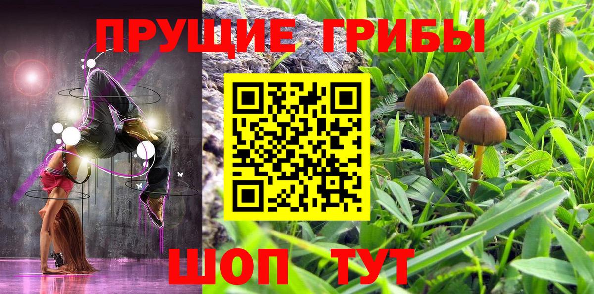 Псилоцибиновые грибы GOLDEN TEACHER  Вход с VPN  Волгодонск 